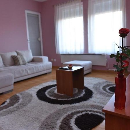 Promenada Apartmani Kruševac エクステリア 写真